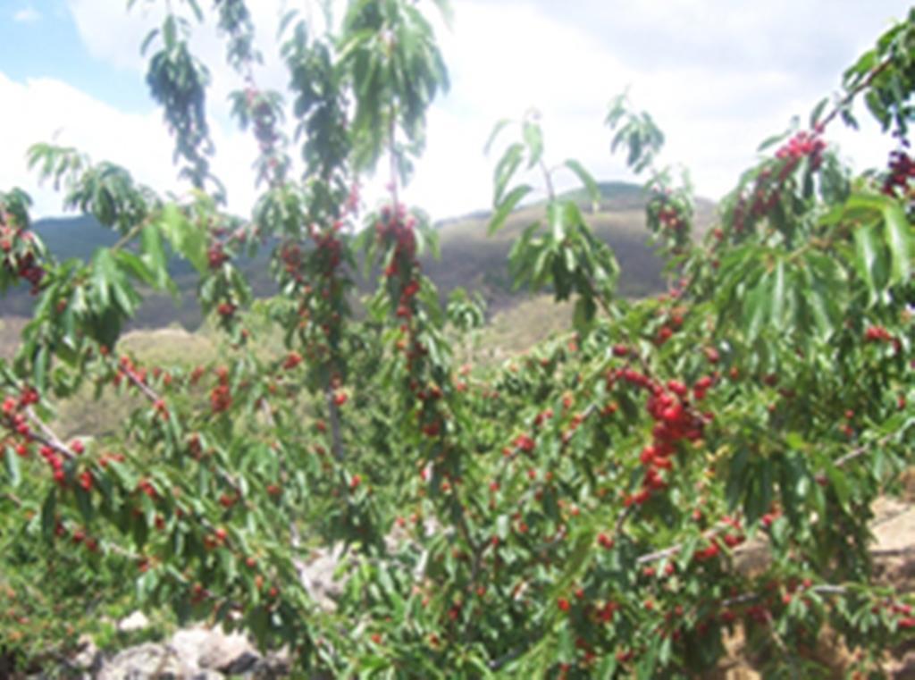 Las Calabazas Barrado Δωμάτιο φωτογραφία