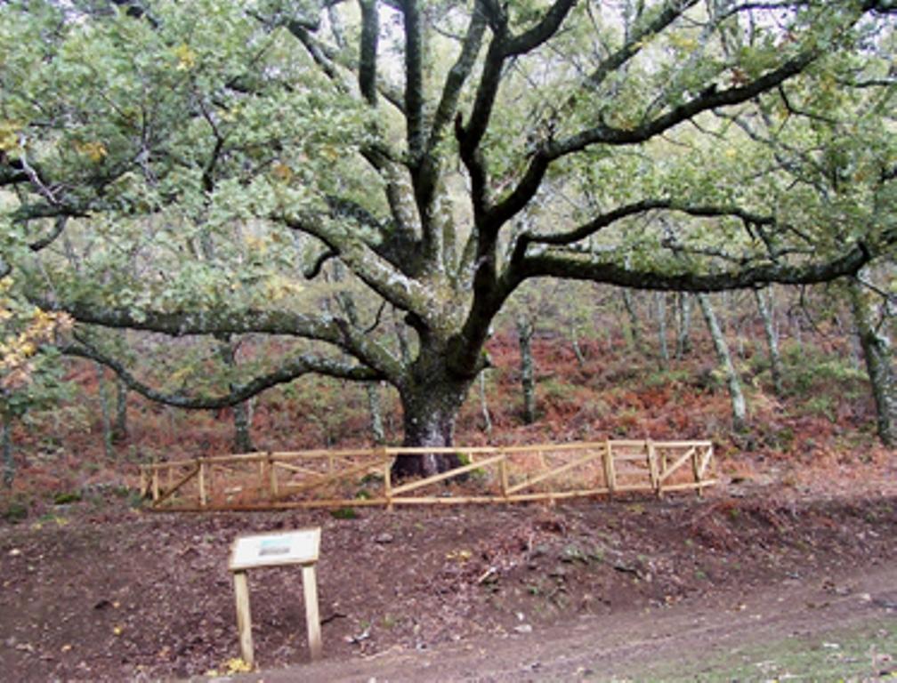 Las Calabazas Barrado Δωμάτιο φωτογραφία