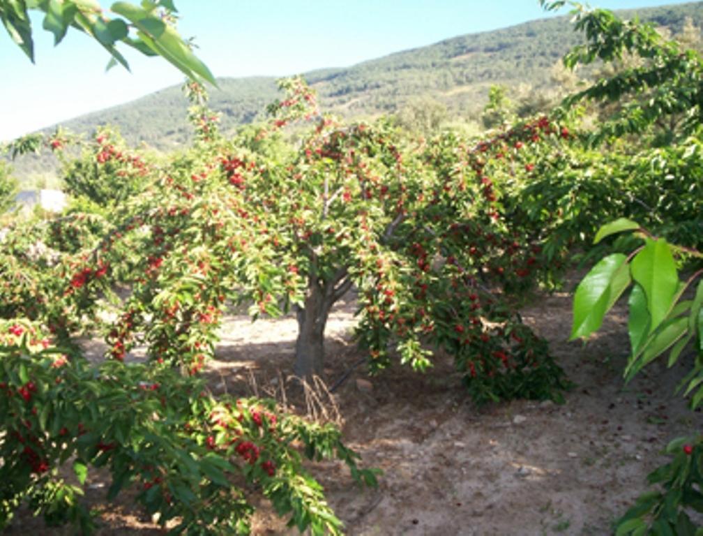 Las Calabazas Barrado Δωμάτιο φωτογραφία